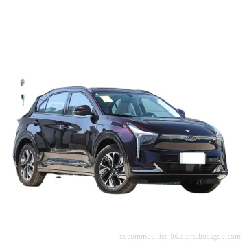 Chinese Brand for New  Electric Cars For Neta V2022 Pro Edition